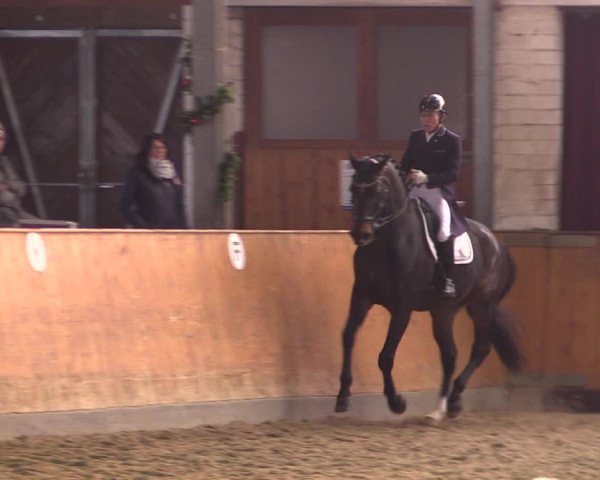 Reitturnier Appelhülsen 2019