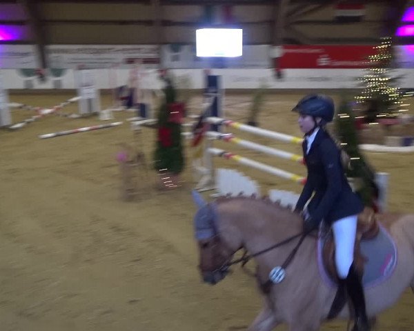 Reitturnier Essen-Stadtwald 2019