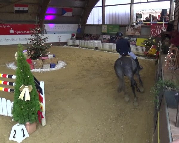 Reitturnier Essen-Stadtwald 2019