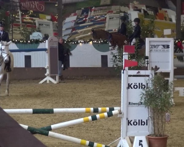 Reitturnier Essen-Stadtwald 2019