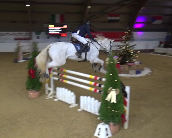 Reitturnier Essen-Stadtwald 2019