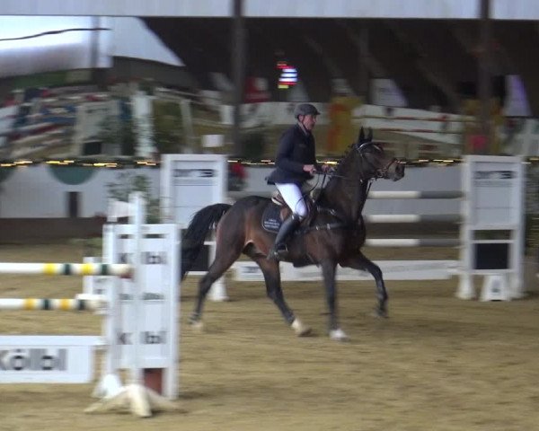 Reitturnier Essen-Stadtwald 2019