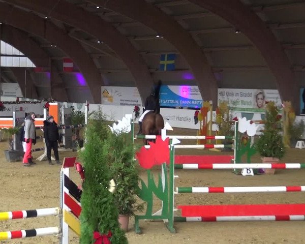 Reitturnier Essen-Stadtwald 2019