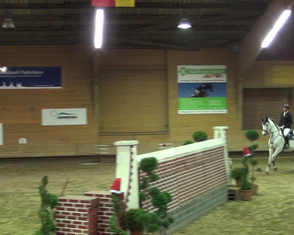 Reitturnier Paderborn 2019