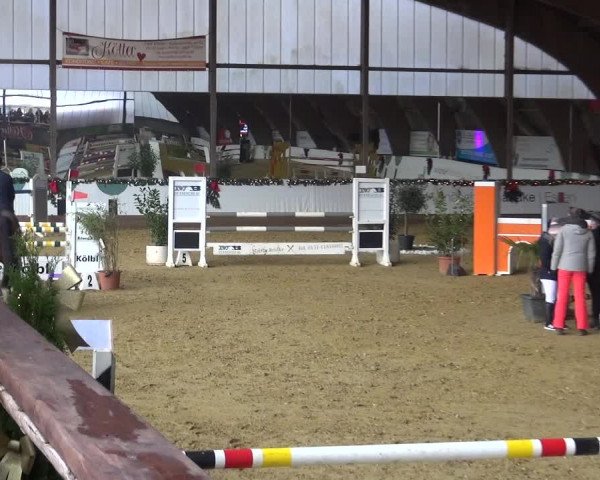 Reitturnier Essen-Stadtwald 2019