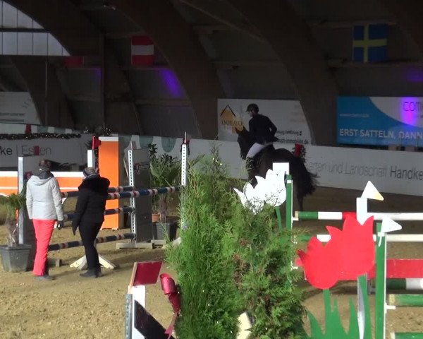 Reitturnier Essen-Stadtwald 2019