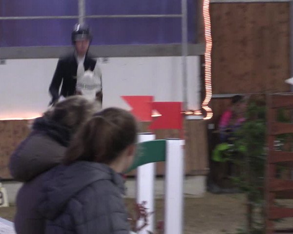 Reitturnier Südlohn-Oeding 2019