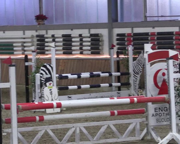Reitturnier Südlohn-Oeding 2019