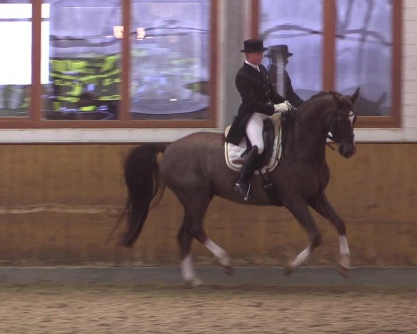 Reitturnier Appelhülsen 2019