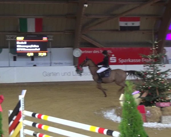 Reitturnier Essen-Stadtwald 2019