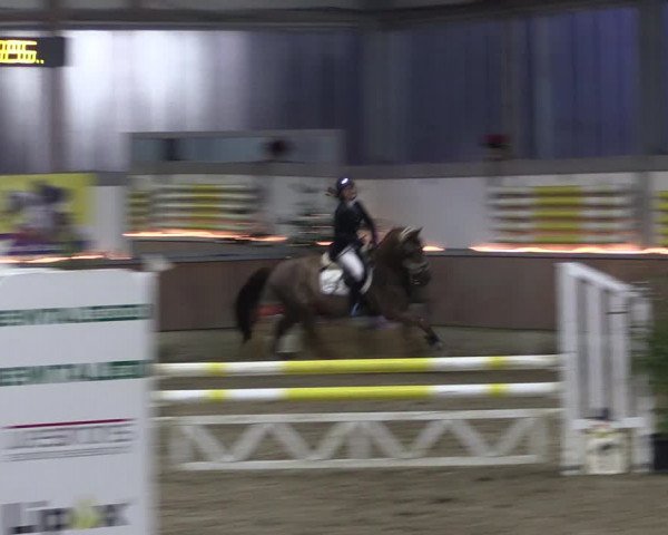 Reitturnier Südlohn-Oeding 2019