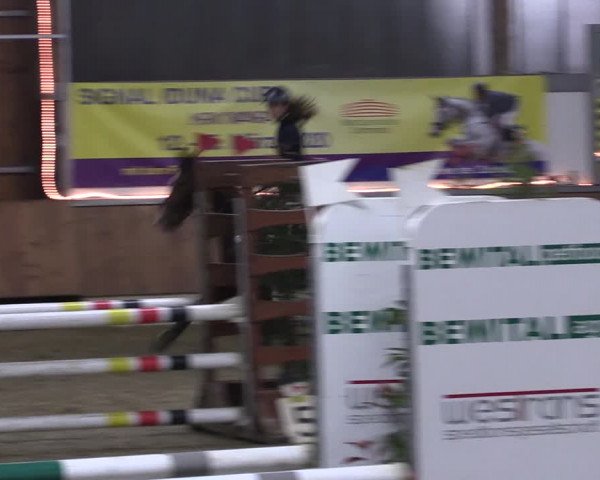 Reitturnier Südlohn-Oeding 2019