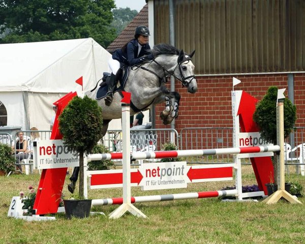 jumper Funky Fara (KWPN (Royal Dutch Sporthorse), 2010, from C-Trenton Z)