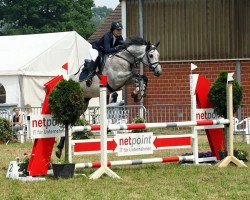 jumper Funky Fara (KWPN (Royal Dutch Sporthorse), 2010, from C-Trenton Z)
