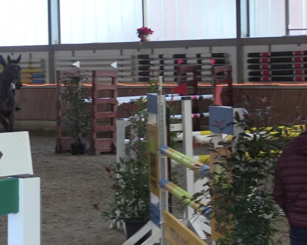 Reitturnier Südlohn-Oeding 2019