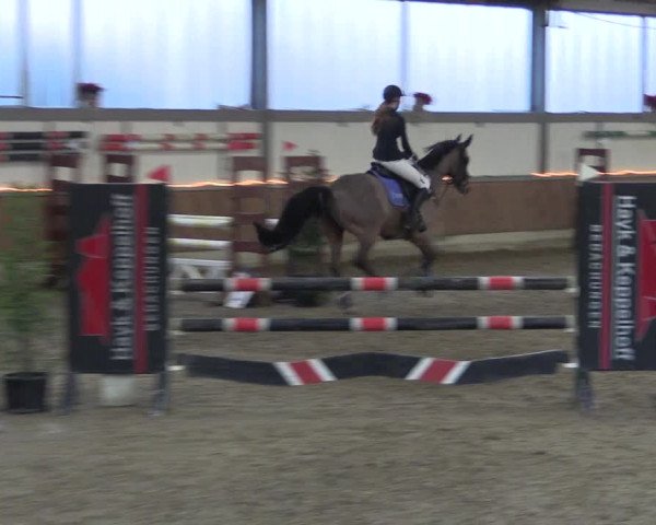 Reitturnier Südlohn-Oeding 2019