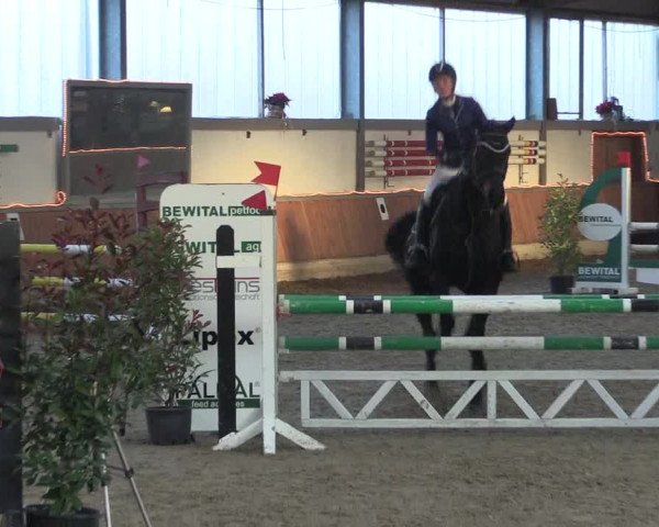 Reitturnier Südlohn-Oeding 2019