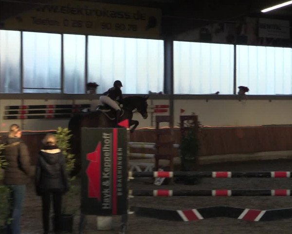Reitturnier Südlohn-Oeding 2019