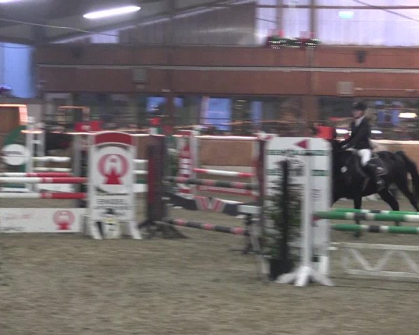 Reitturnier Südlohn-Oeding 2019