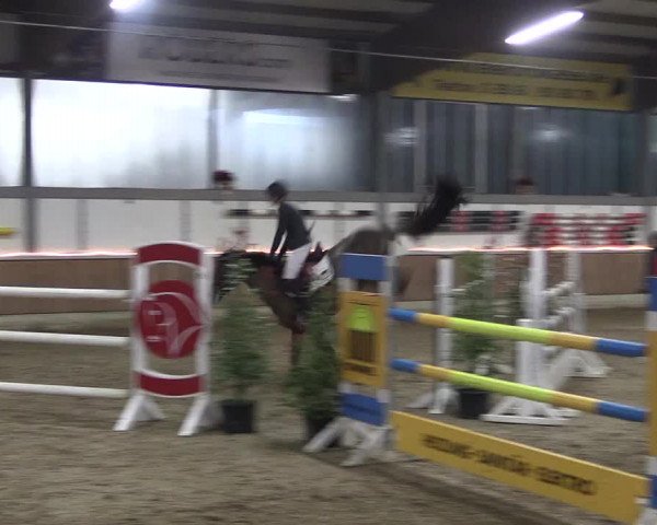 Reitturnier Südlohn-Oeding 2019