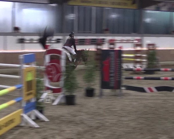 Reitturnier Südlohn-Oeding 2019