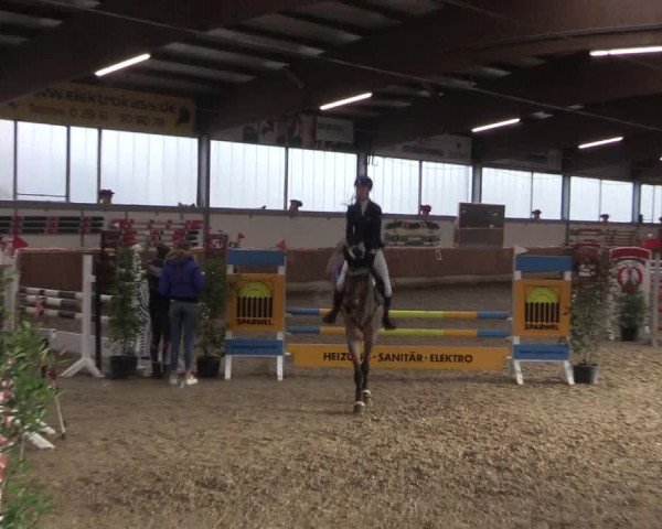 Reitturnier Südlohn-Oeding 2019