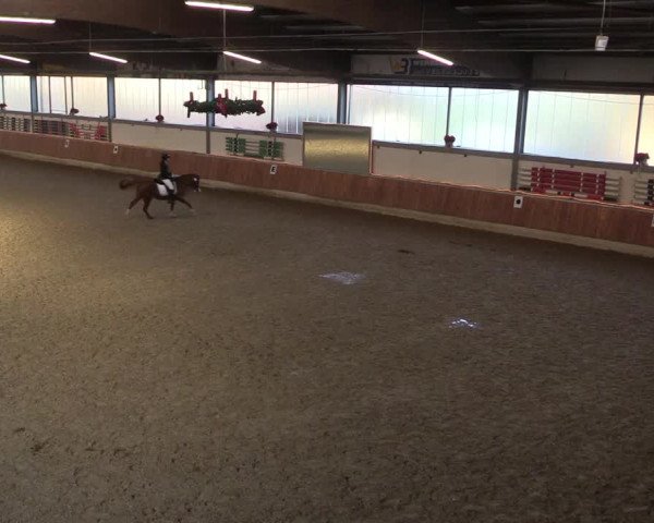 Reitturnier Südlohn-Oeding 2019