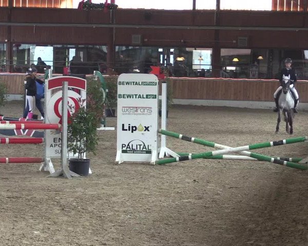Reitturnier Südlohn-Oeding 2019