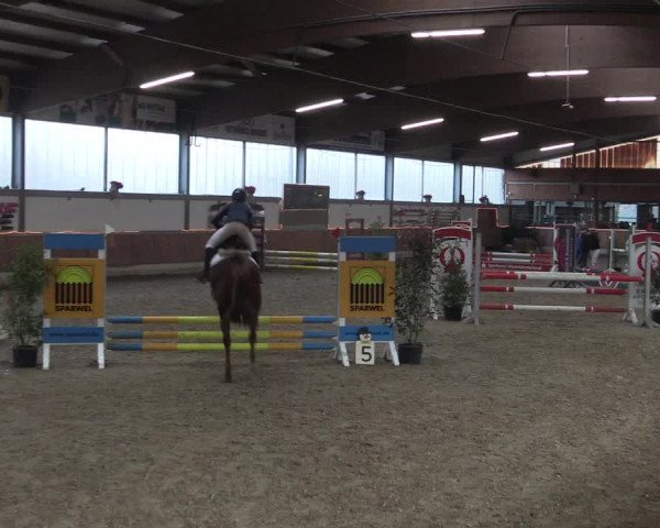 Reitturnier Südlohn-Oeding 2019