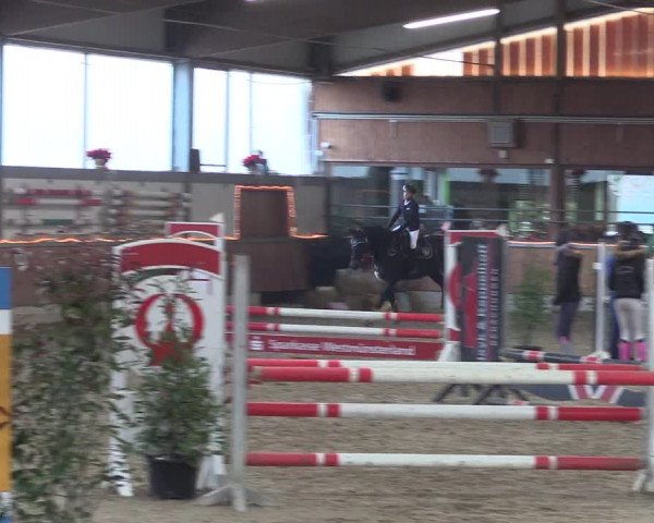 Reitturnier Südlohn-Oeding 2019