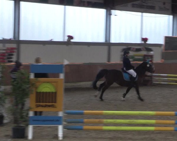 Reitturnier Südlohn-Oeding 2019