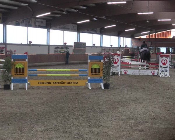 Reitturnier Südlohn-Oeding 2019