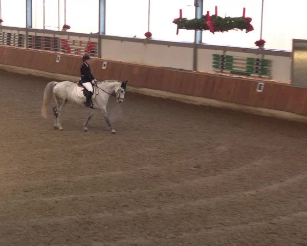 Reitturnier Südlohn-Oeding 2019