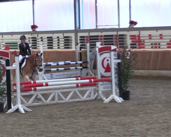 Reitturnier Südlohn-Oeding 2019