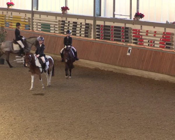 Reitturnier Südlohn-Oeding 2019