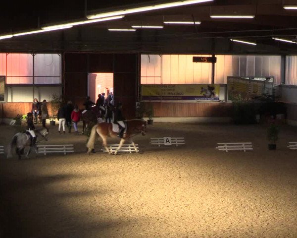 Reitturnier Südlohn-Oeding 2019