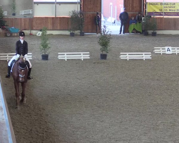 Reitturnier Südlohn-Oeding 2019