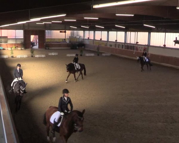 Reitturnier Südlohn-Oeding 2019