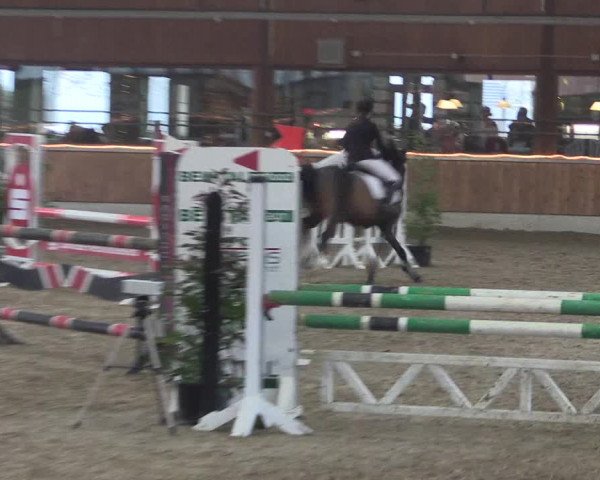 Reitturnier Südlohn-Oeding 2019