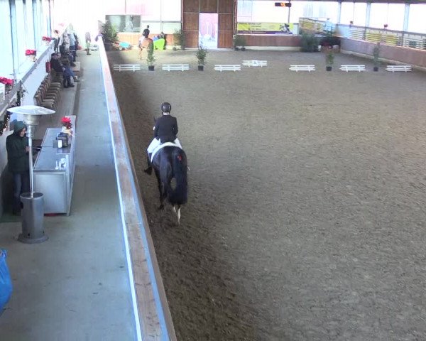 Reitturnier Südlohn-Oeding 2019