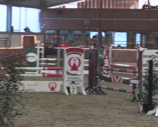 Reitturnier Südlohn-Oeding 2019