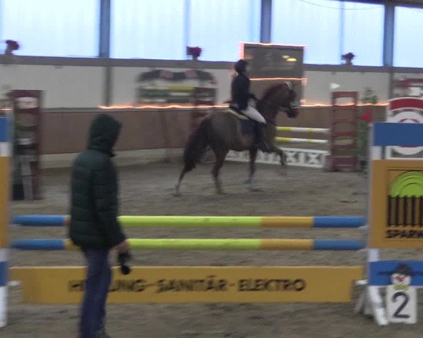 Reitturnier Südlohn-Oeding 2019