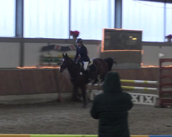 Reitturnier Südlohn-Oeding 2019