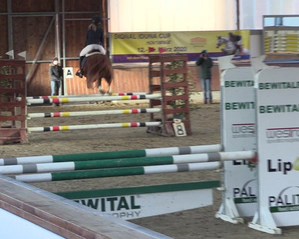Reitturnier Südlohn-Oeding 2019