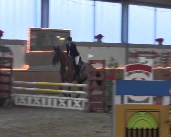 Reitturnier Südlohn-Oeding 2019