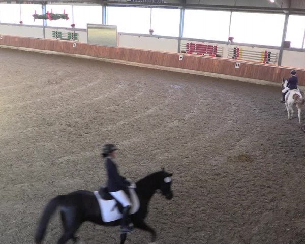 Reitturnier Südlohn-Oeding 2019