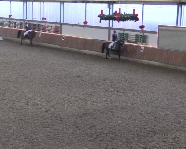 Reitturnier Südlohn-Oeding 2019
