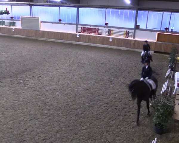 Reitturnier Südlohn-Oeding 2019