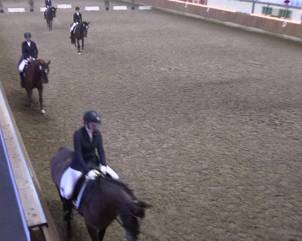 Reitturnier Südlohn-Oeding 2019
