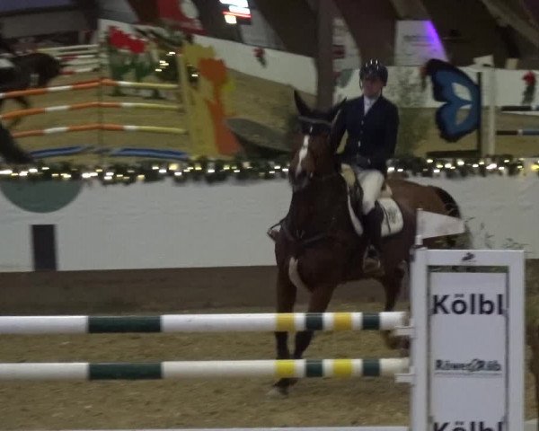 Reitturnier Essen-Stadtwald 2019